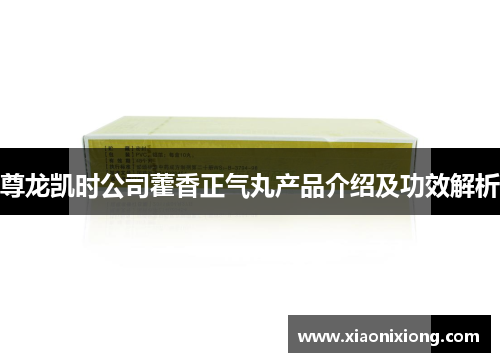尊龙凯时公司藿香正气丸产品介绍及功效解析